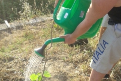 giardinaggio-4